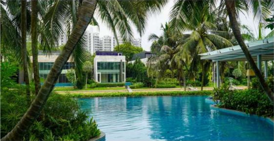 Pool at Turquoise